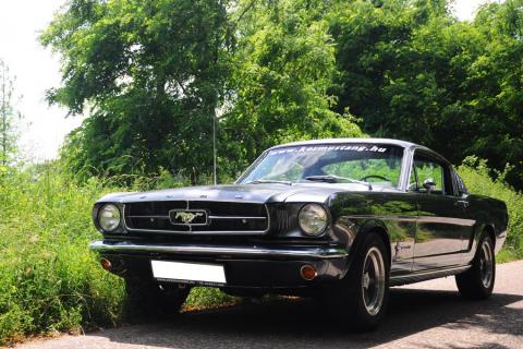 Ford Mustang Fastback 289