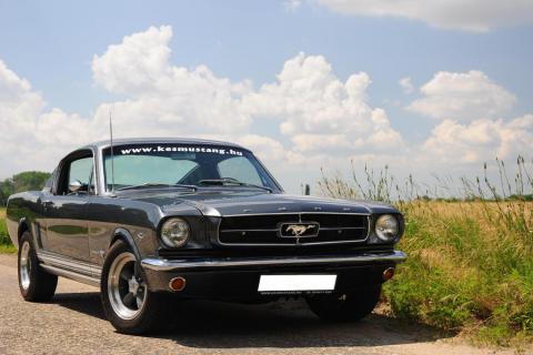Ford Mustang Fastback 289