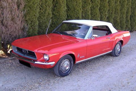 Ford Mustang Cabrio 302