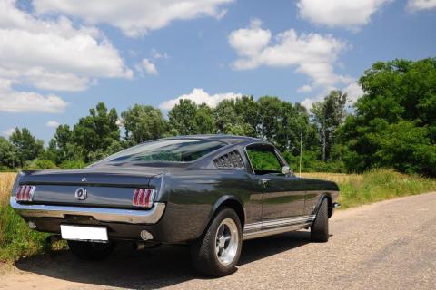 Ford Mustang Fastback 289