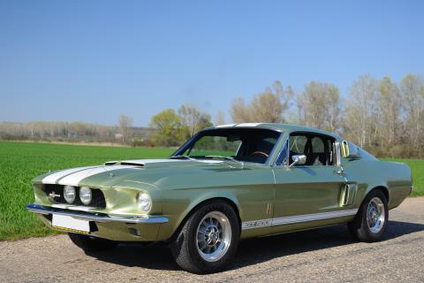 1967 Ford Mustang Shelby GT500 