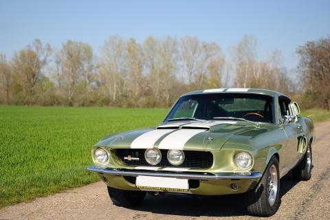 1967 Ford Mustang Shelby GT500 