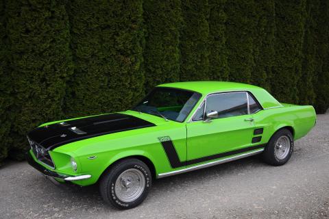 Ford Mustang Coupe 289