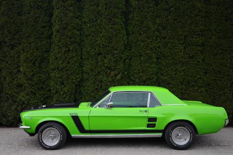 Ford Mustang Coupe 289