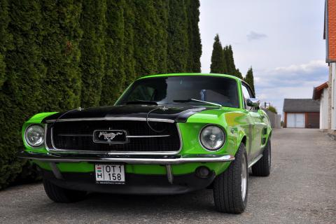 Ford Mustang Coupe 289