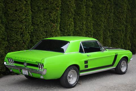 Ford Mustang Coupe 289