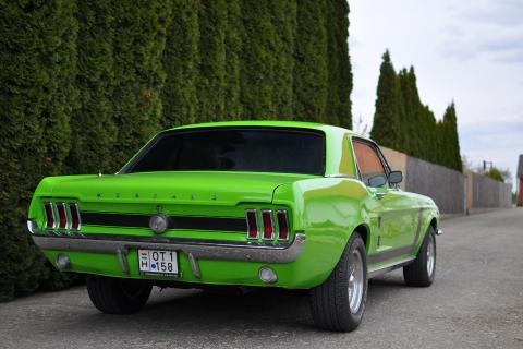Ford Mustang Coupe 289