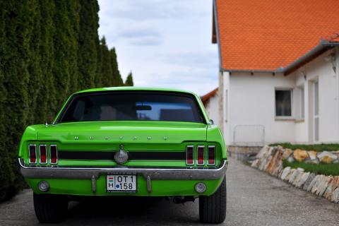 Ford Mustang Coupe 289