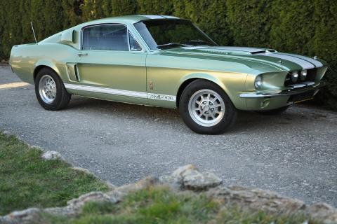 1967 Ford Mustang Shelby GT500